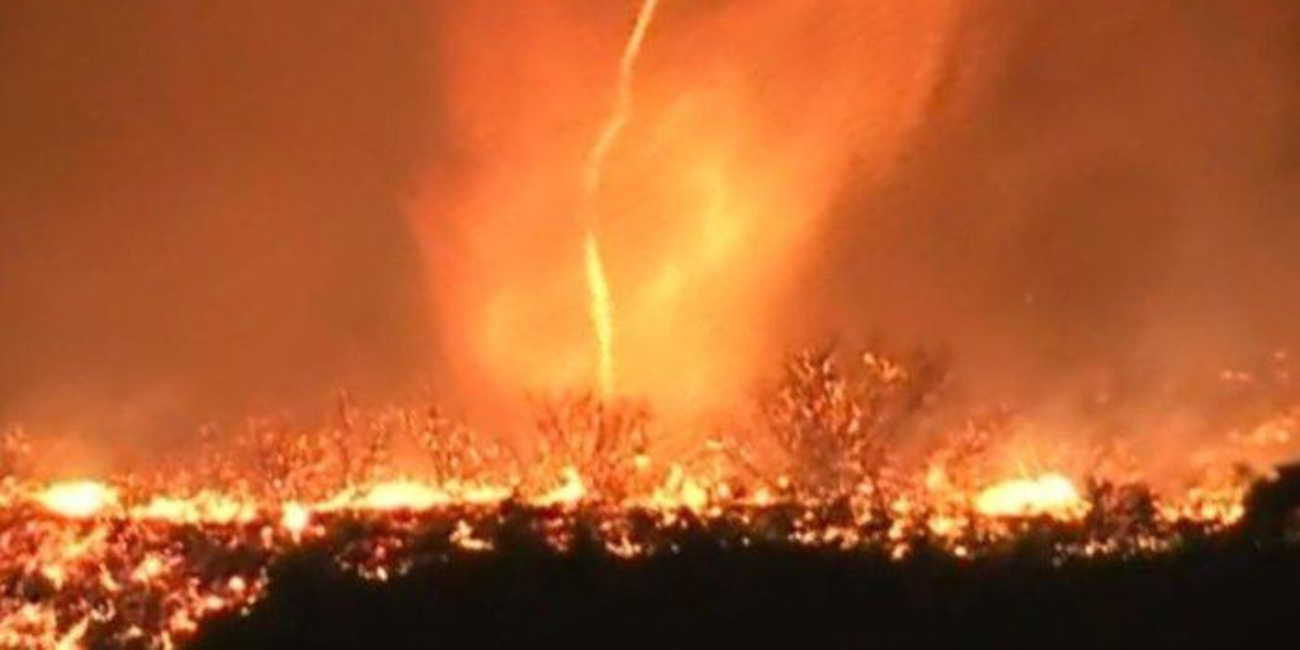 Apa Itu Tornado Api Firenado yang Terror Los Angeles saat Kebakaran? Ini Penyebabnya