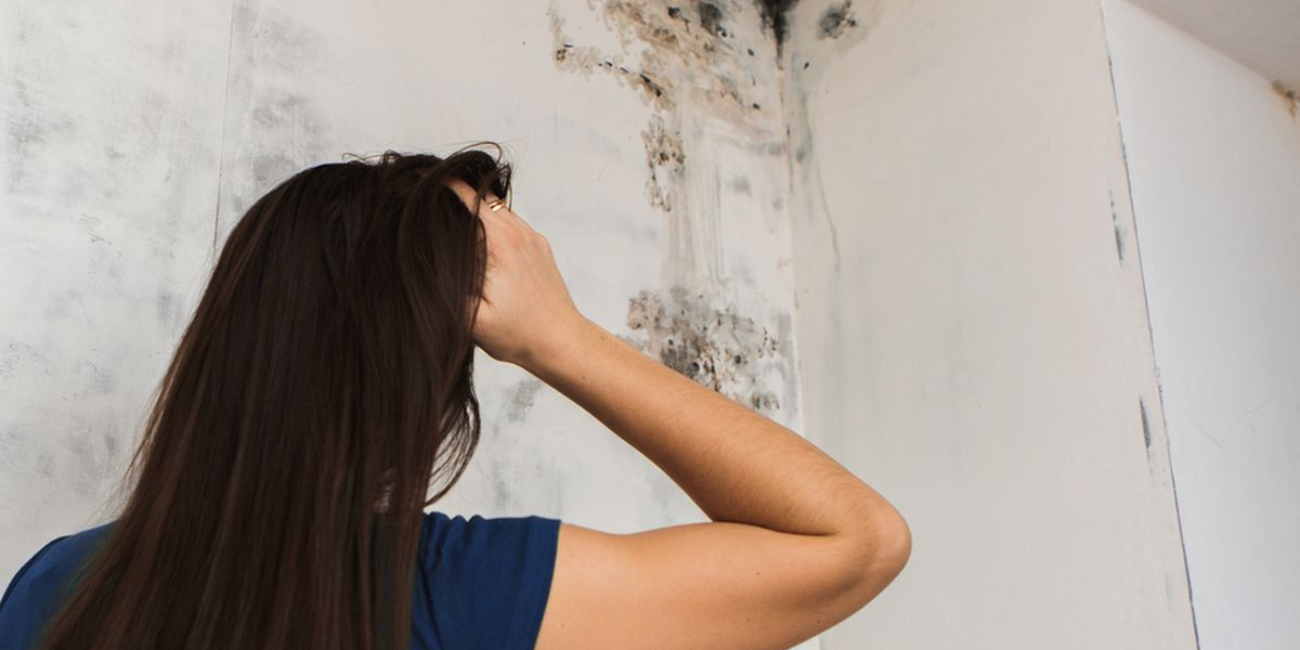 Rumah Sering Lembap & Berjamur? Coba 5 Trik Rahasia Atasi Udara Basah dengan Teknologi Pintar!