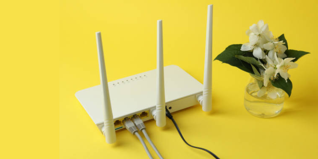 Rahasia Penempatan Tanaman Hias Agar WiFi Tetap Ngebut: Hindari Router, Pilih Lokasi Ini!